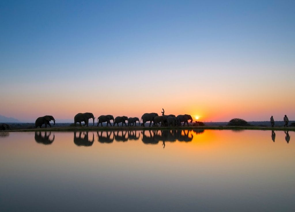 Jabulani-African-Sunset-Elephants-1024x734