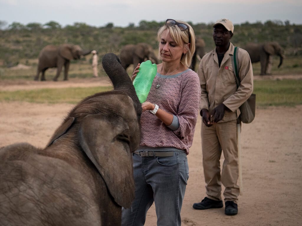 2019-jabulani-elephant-conservation-7