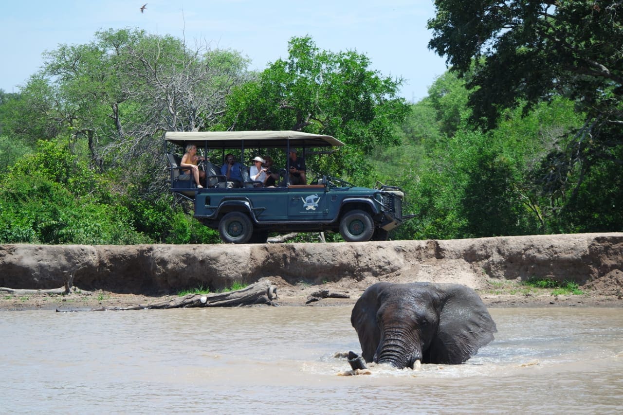 Jabulani Elephant Experience - Elephant Swim