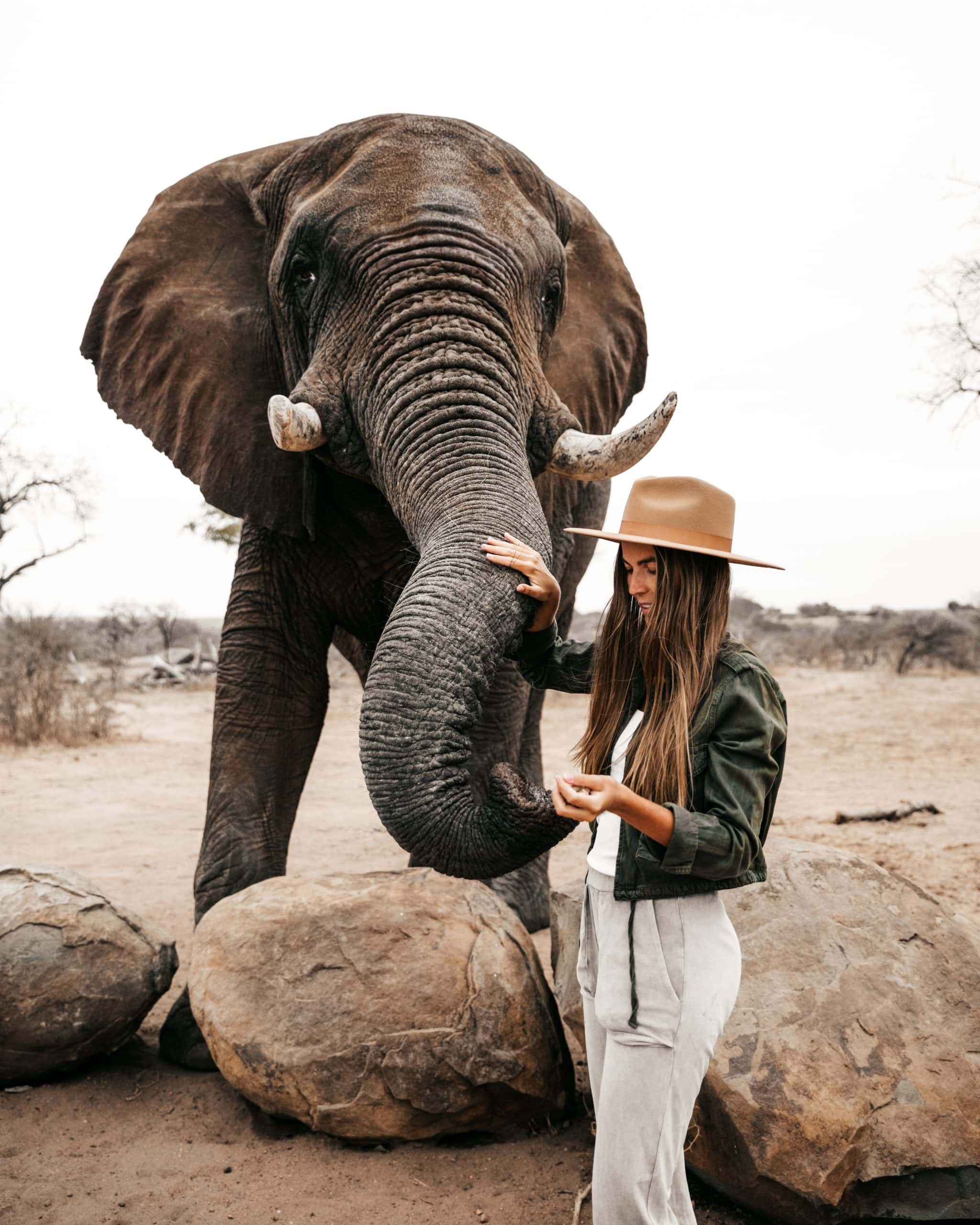 Jabulani Elephant Experience - meeting the ambassadors (12)