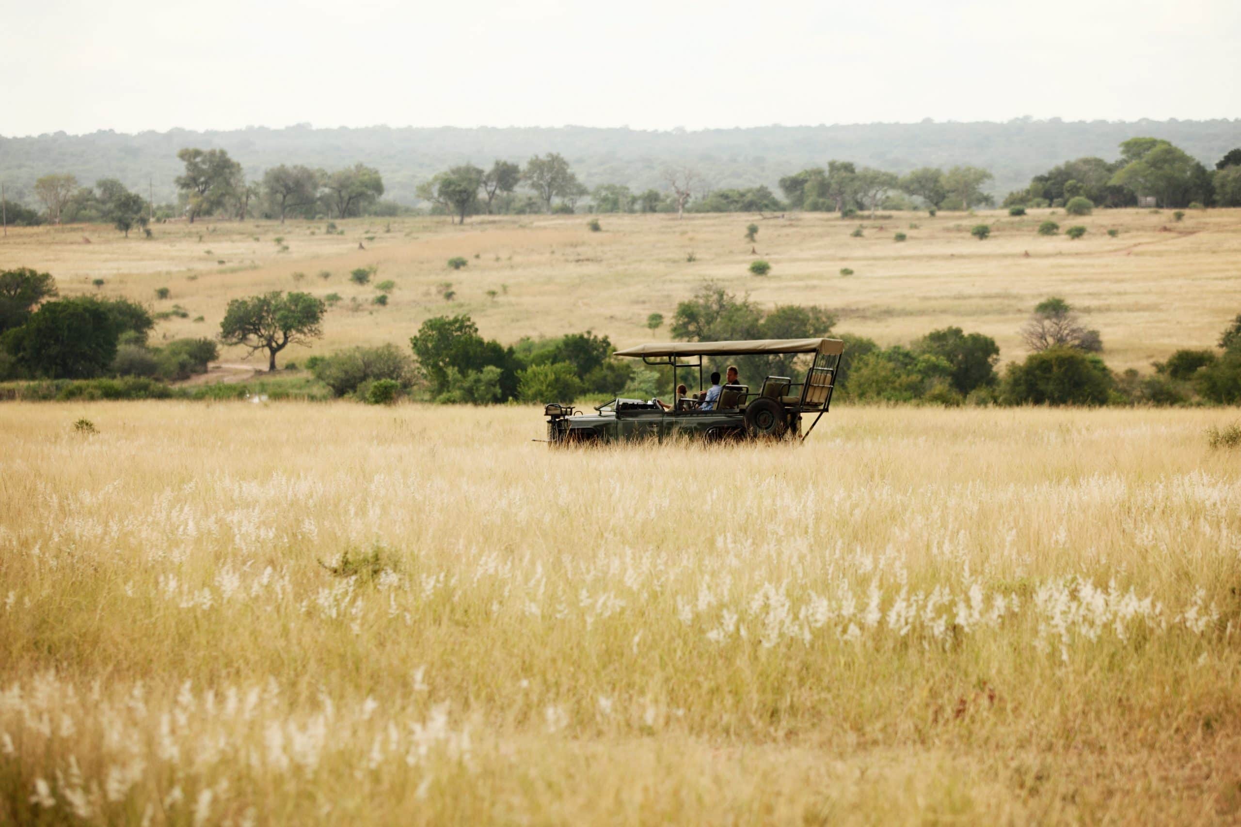 Jabulani Game Drive 5