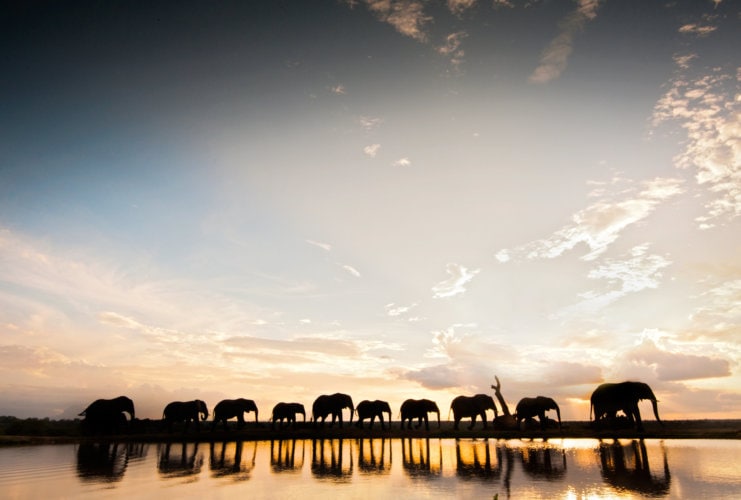 Jabulani-Safari-Elephant-Sunset-1-scaled-e1621846836349