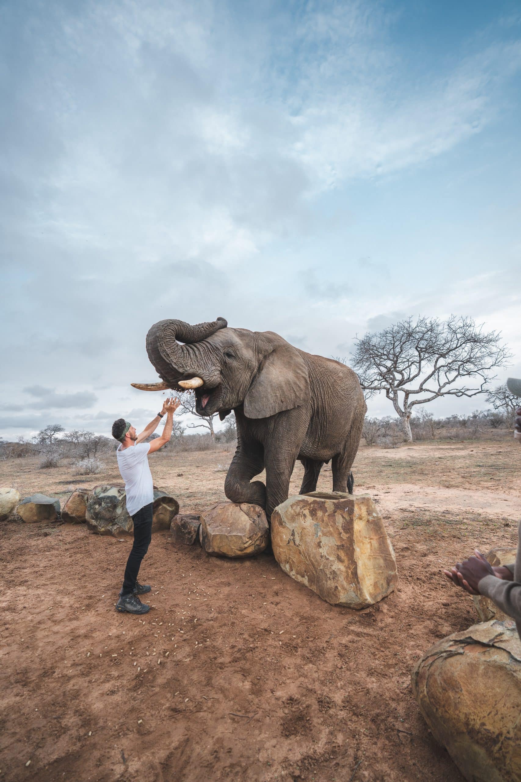 Jabulani and guests at elephant experience - Lifeof mike - dont have to credit DSC03650