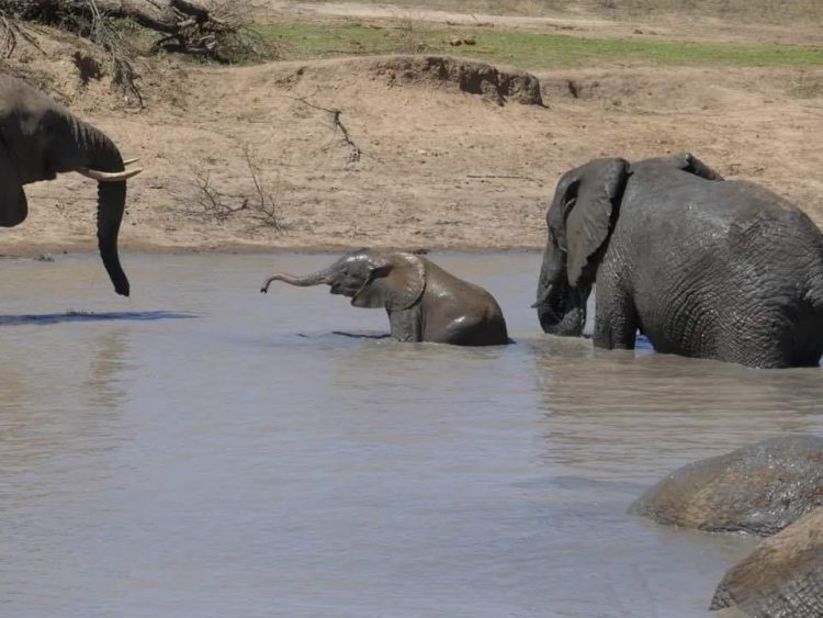 Making Memories at Jabulani Safari