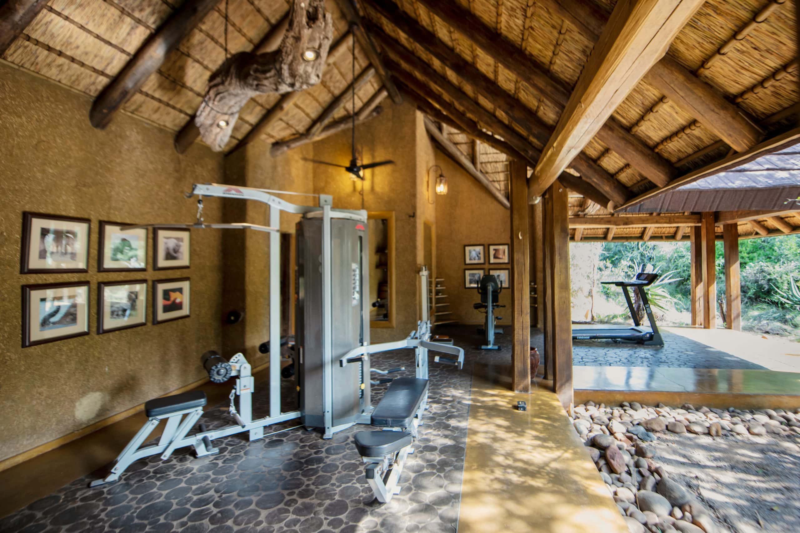 5 Ways to Stay Fit & Healthy on Safari