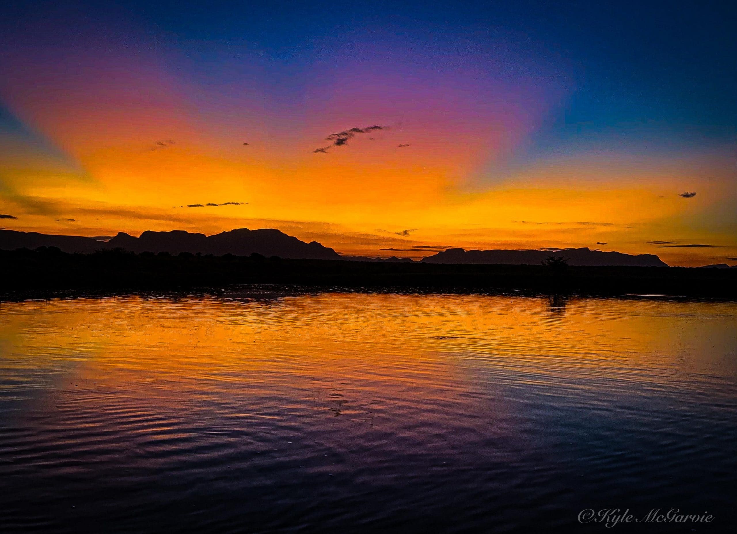 A Year of Soulful Safaris