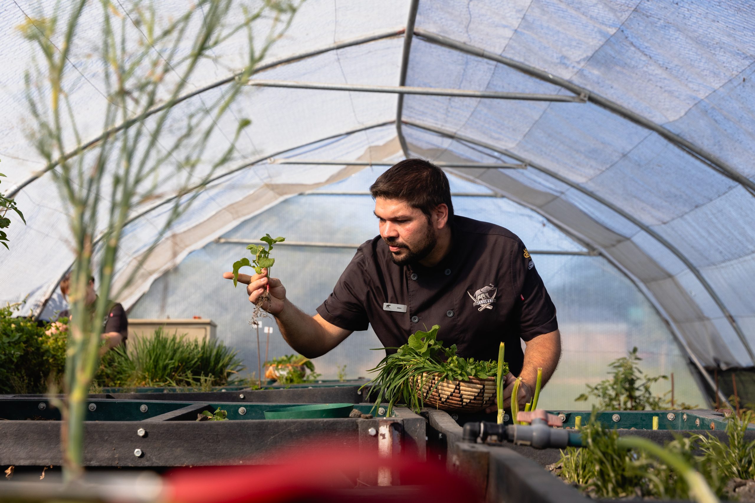 Celebrating Sustainable Gastronomy Day at Jabulani | Nourishing Our Guests and Planet
