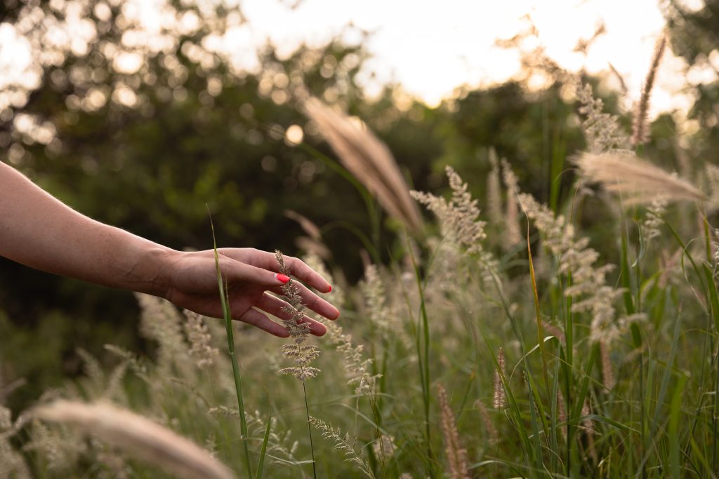 Yoga Wellness Safari