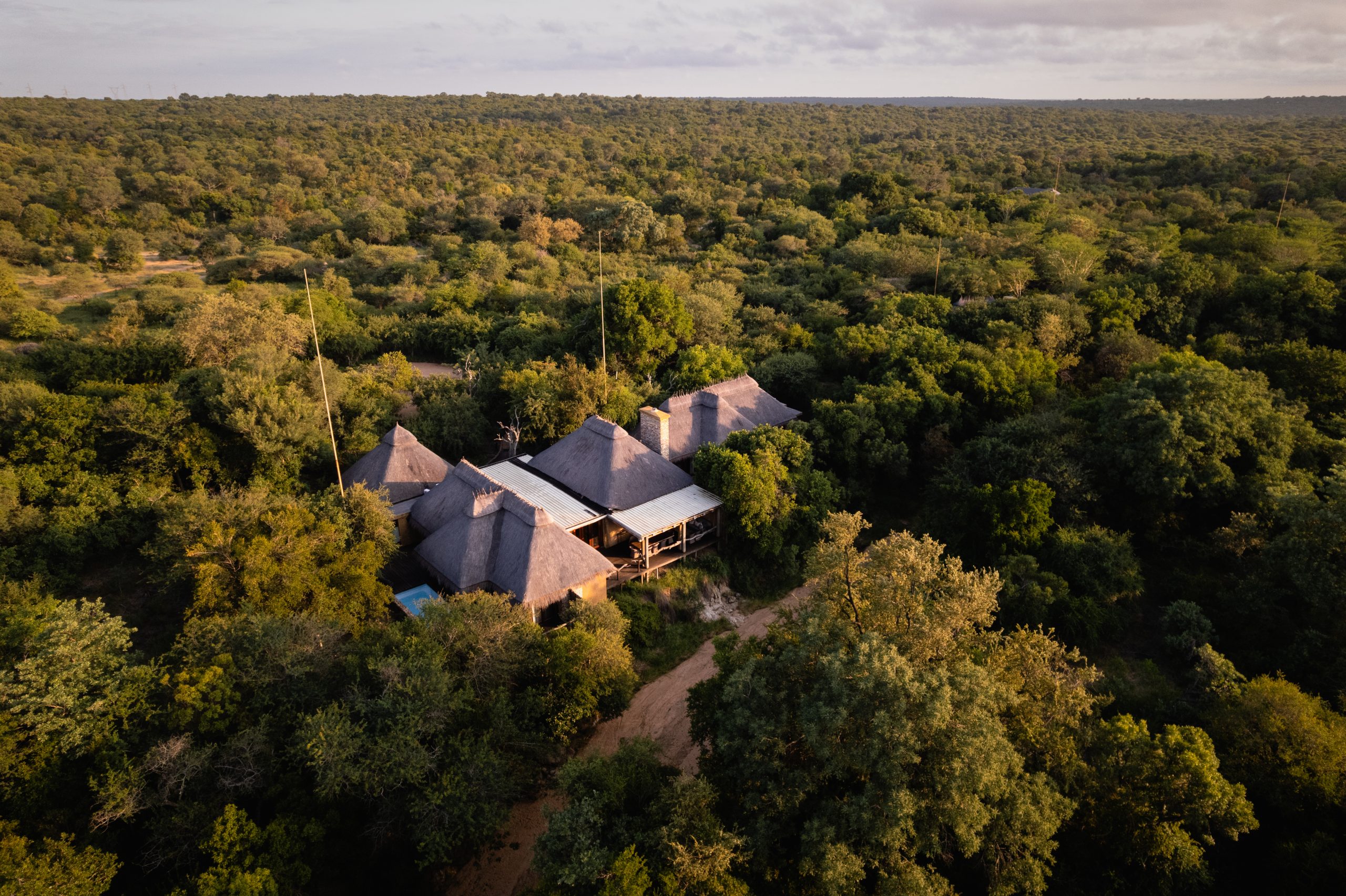 Jabulani Awarded 2 MICHELIN Keys | A Celebration of Soulful Safari