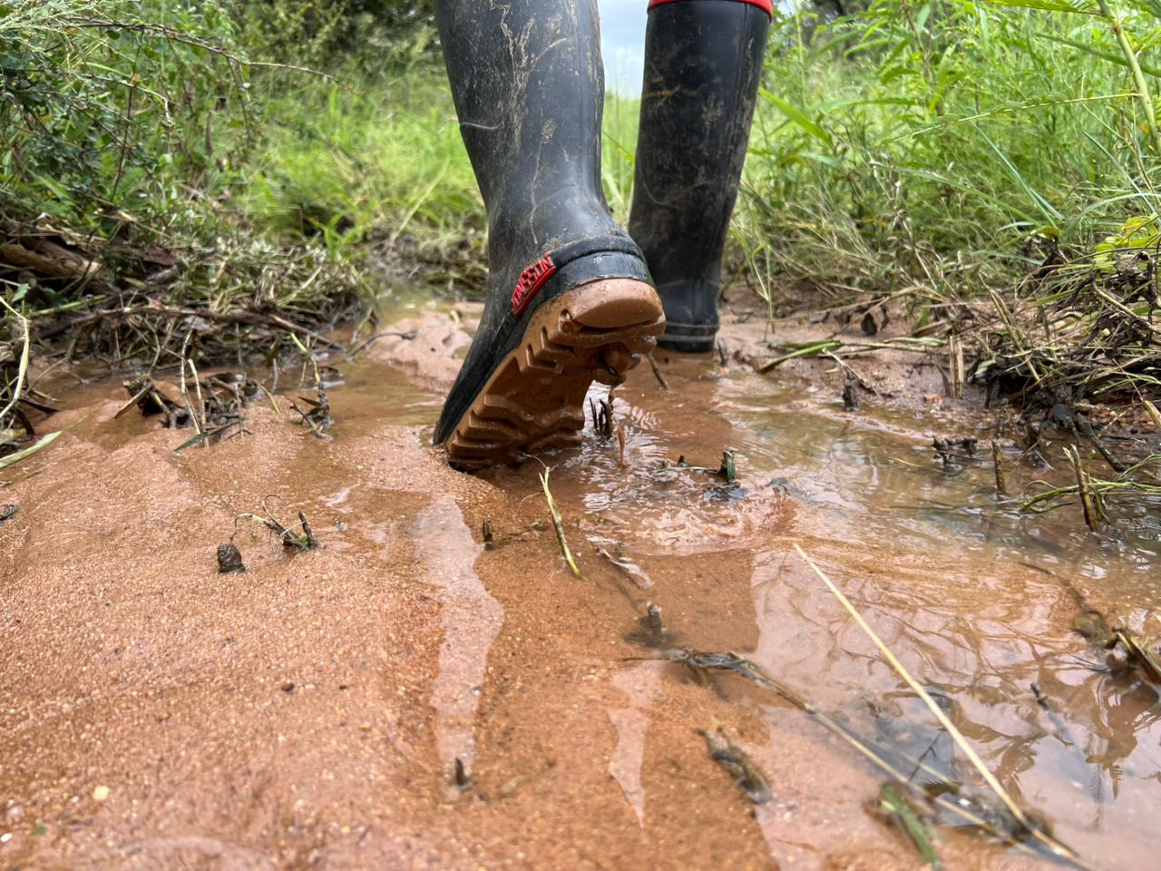 Lodge Update Following the Recent Flooding