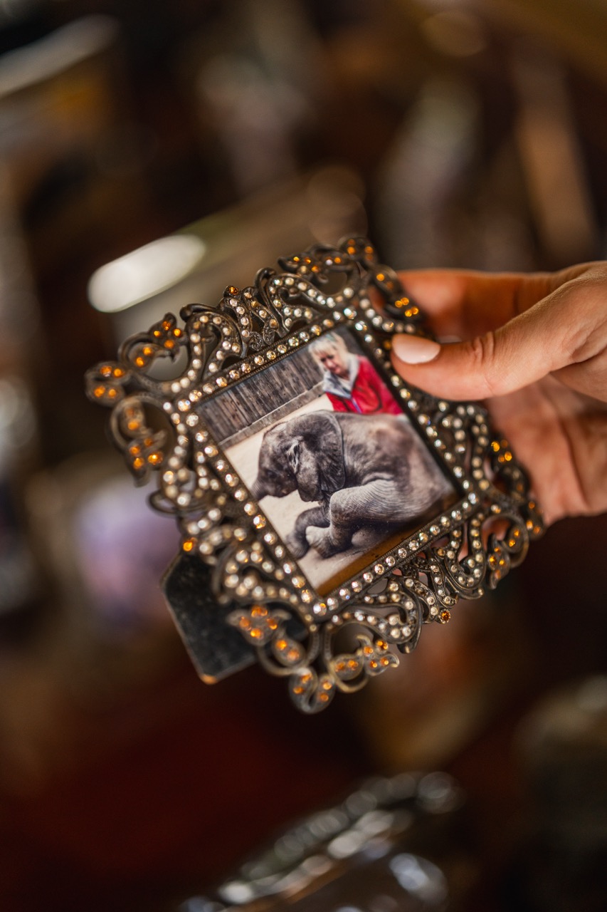 Felix-Studios-Jabulani-Images-Jan-2026-309 Large