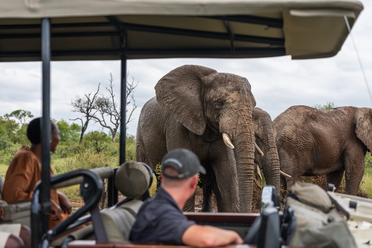 Felix-Studios-Jabulani-Images-Jan-2026-334 Large