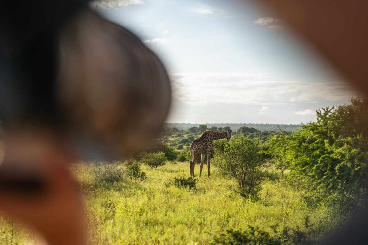 Felix-Studios-Jabulani-Images-Jan-2026-834 Large