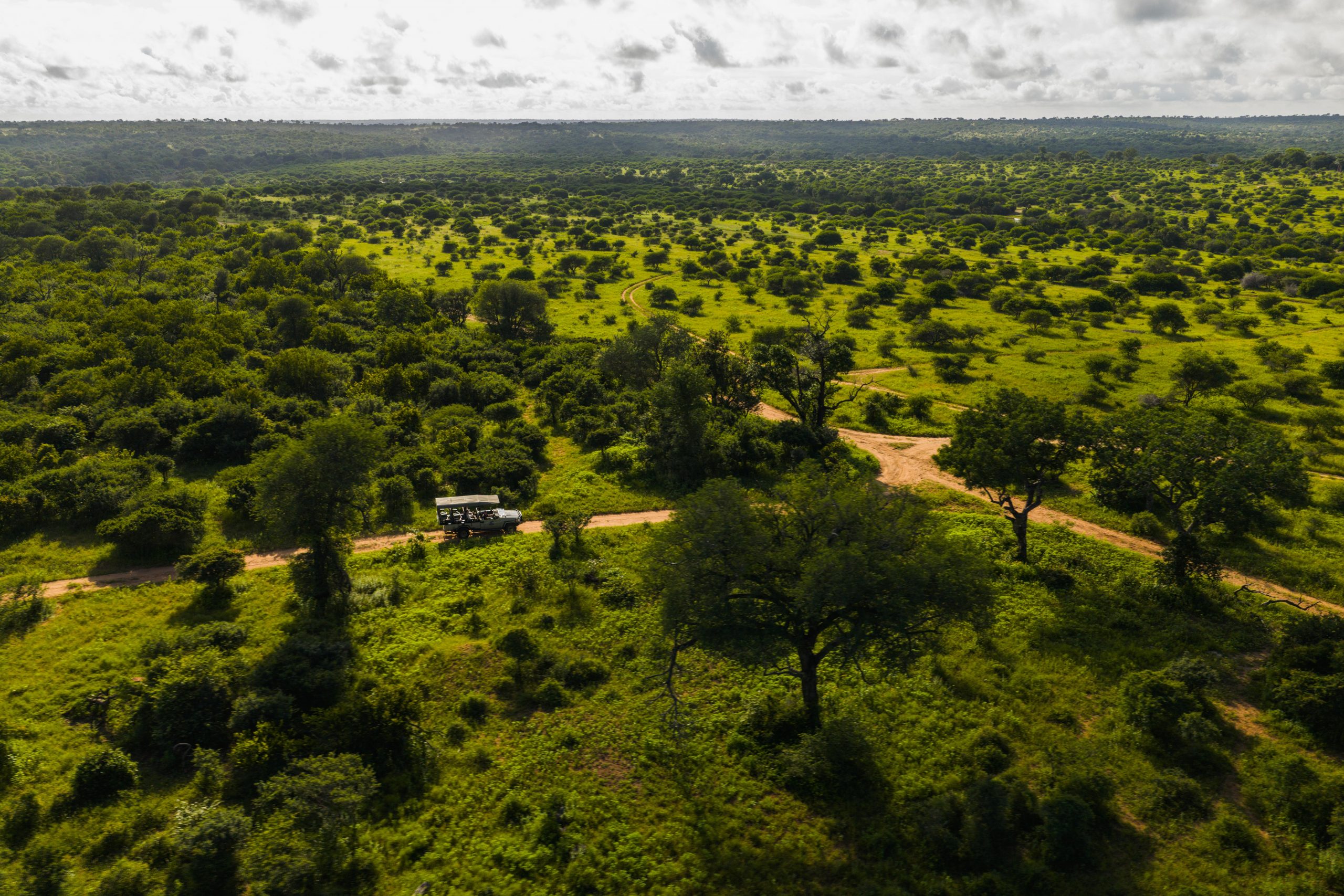 The Ultimate Travel Guide to Jabulani Safari for a Soulful Experience