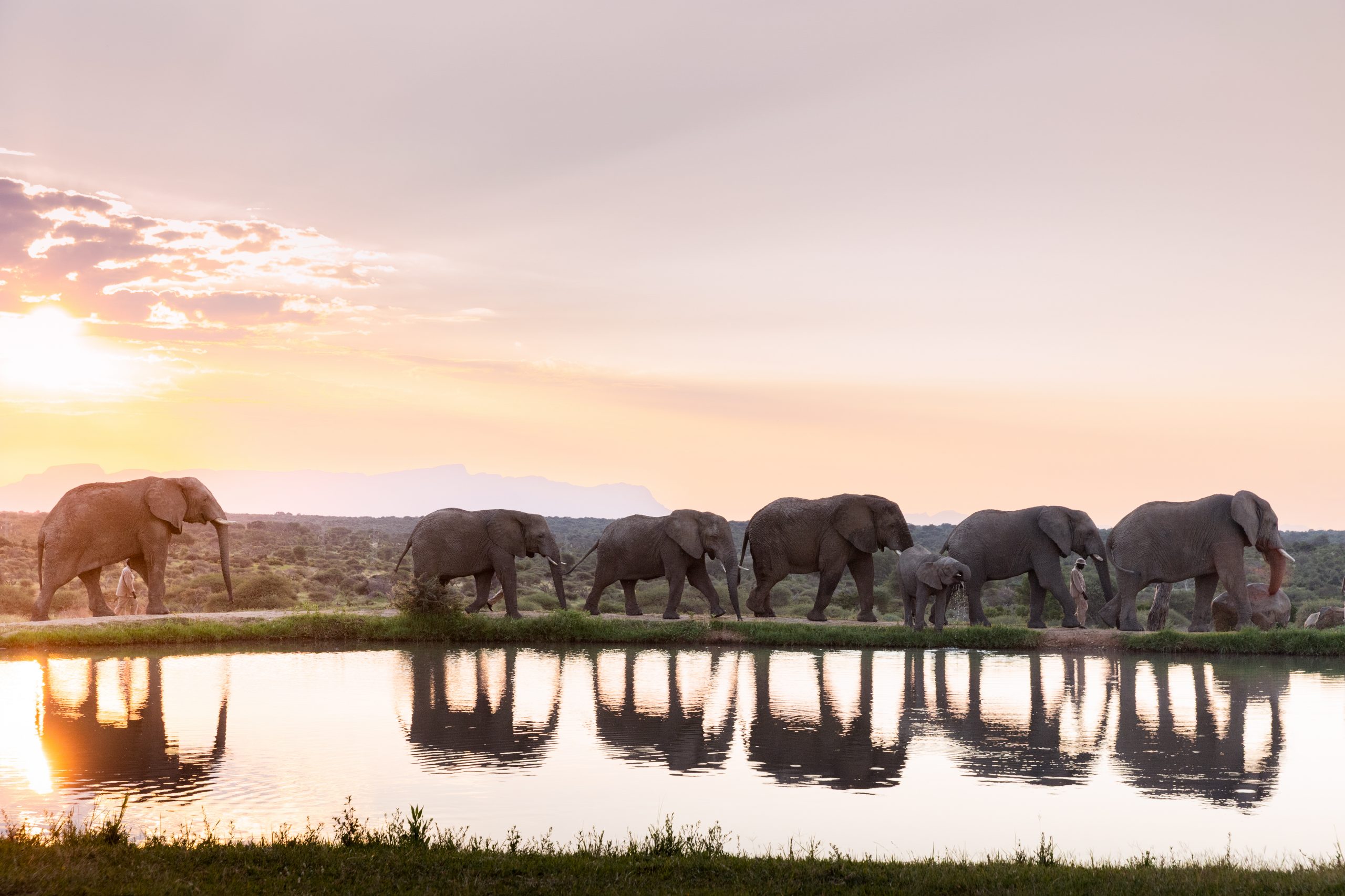 Jabulani_Sundowners_ElephantHerd_1
