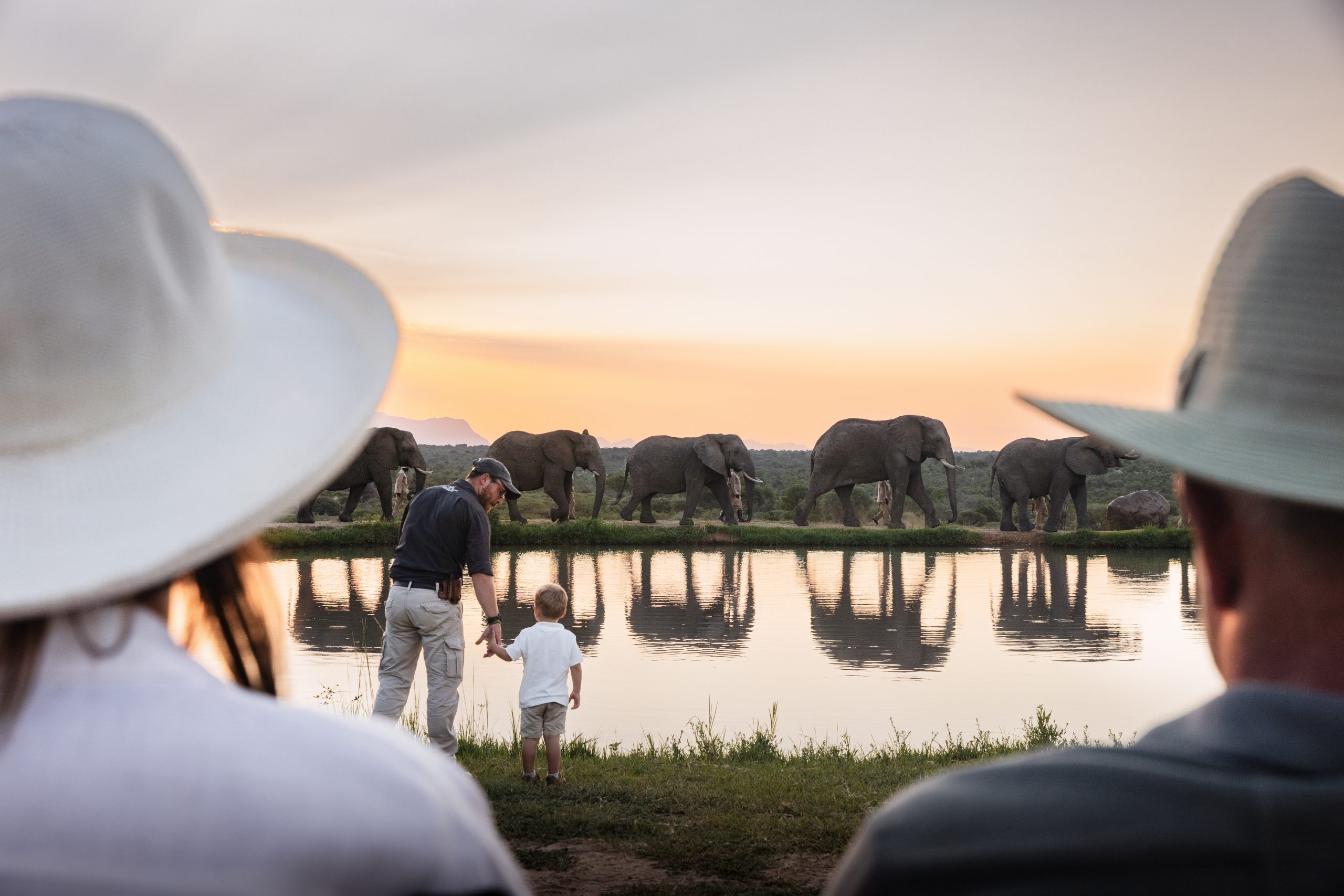 Jabulani_Sundowners_ElephantHerd_2