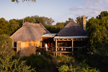 Luxury Safari Experience