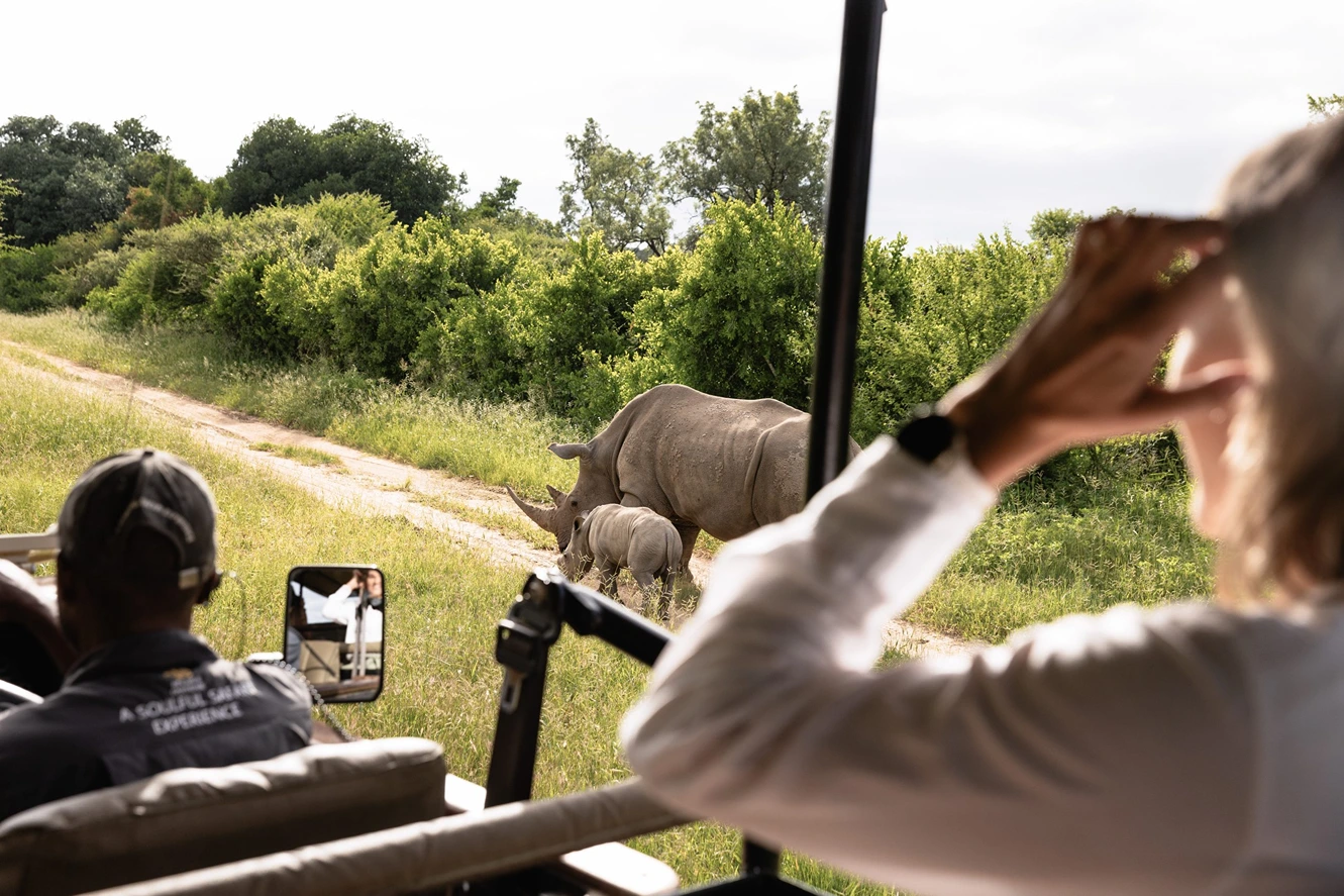 Jabulani_Safari_Wildlife_3-scaled