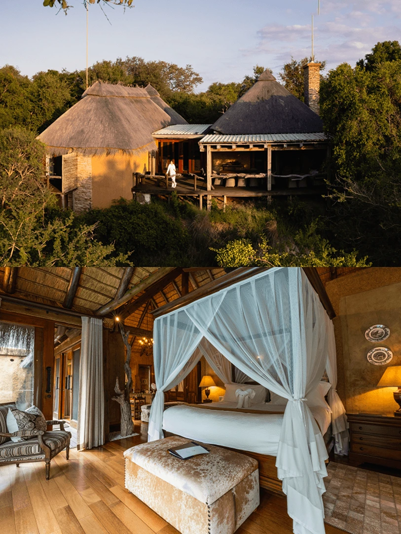 Luxury Safari Experience